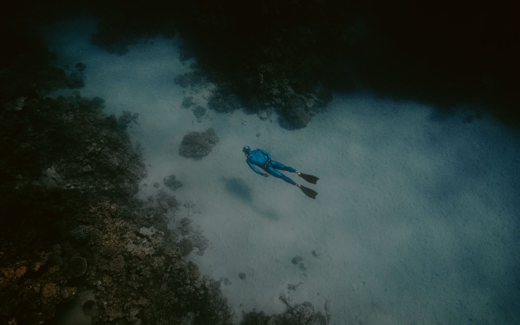 Advanced Freediving Course in Dahab